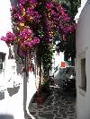 Gasse in Naoussa