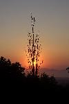 Sonnenuntergang in Zia. Ein Muß für alle Romantiker!