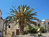 Moni Preveli