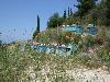 Bienenv�lker auf der ionischen Insel Lefkada