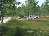 Blick von der Strandstrasse durch das vor dem Strand liegende lichte W�ldchen