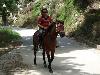 Reiten ist in Karavostasi nicht nur Touristenattraktion.