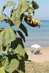 Momentaufnahme am Strand von Agios Stefanos auf der ionischen Insel Korfu