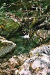 Im Fr�hjahr sind die Bachl�ufe oft reissende Fl�sse