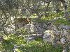 Ansichten an einem der zahlreichen Wanderwege des Pilion