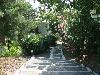 Diese Treppe f&uuml;hrt von der kleinen, oberhalb des Hauses liegenden Nebenstrasse aus ...